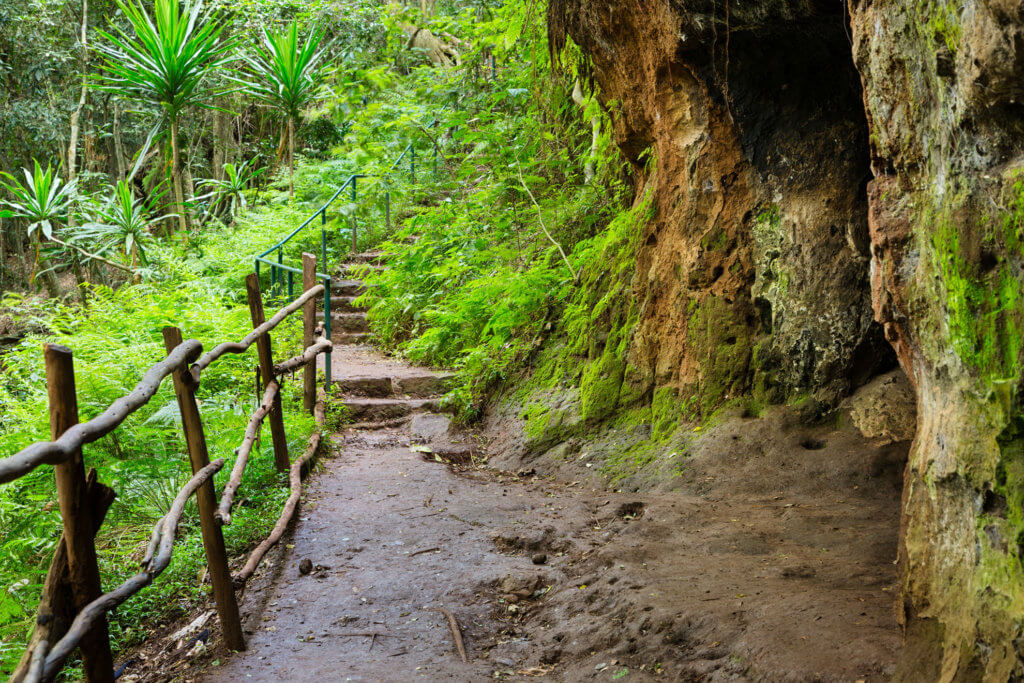 Nature Walks In Nairobi