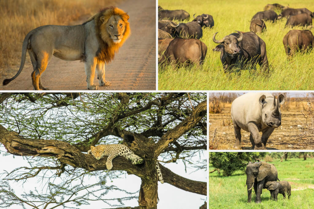 The Mesmerizing Maasai Mara, Kenya