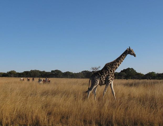 Experience Zimbabwe in the Beautiful city of Harare